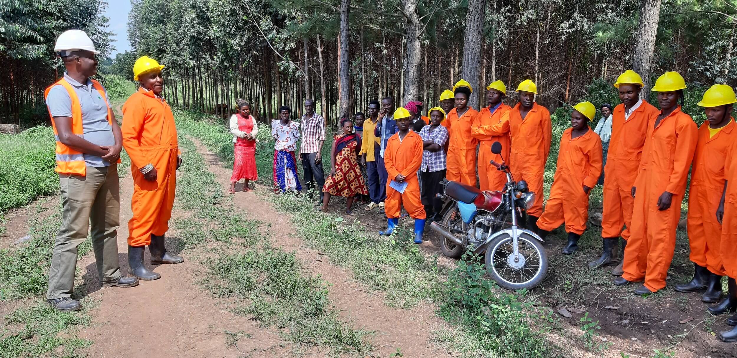 New Forestry Company NFC team in Uganda on site